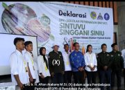 Susu Sapi Pedaging yang Terabaikan Untuk Cegah Stunting